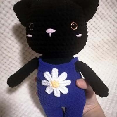 Chat en salopette