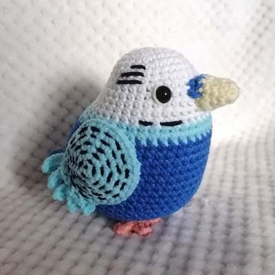 Perruche bleue et blanche