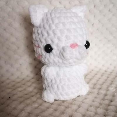 Chat blanc 1