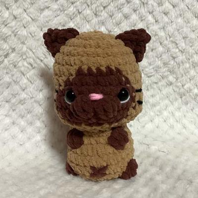 Chat siamois 1
