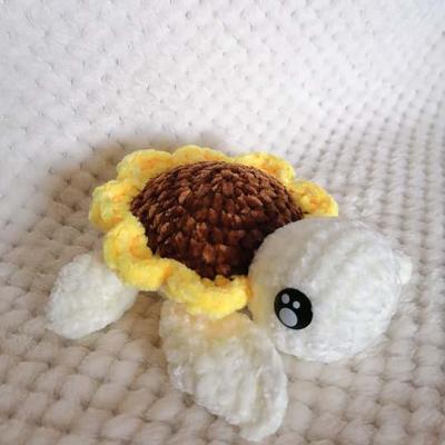 Tortue 1