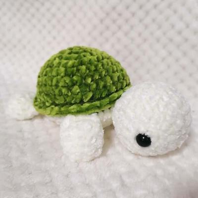 Tortue terrestre 1